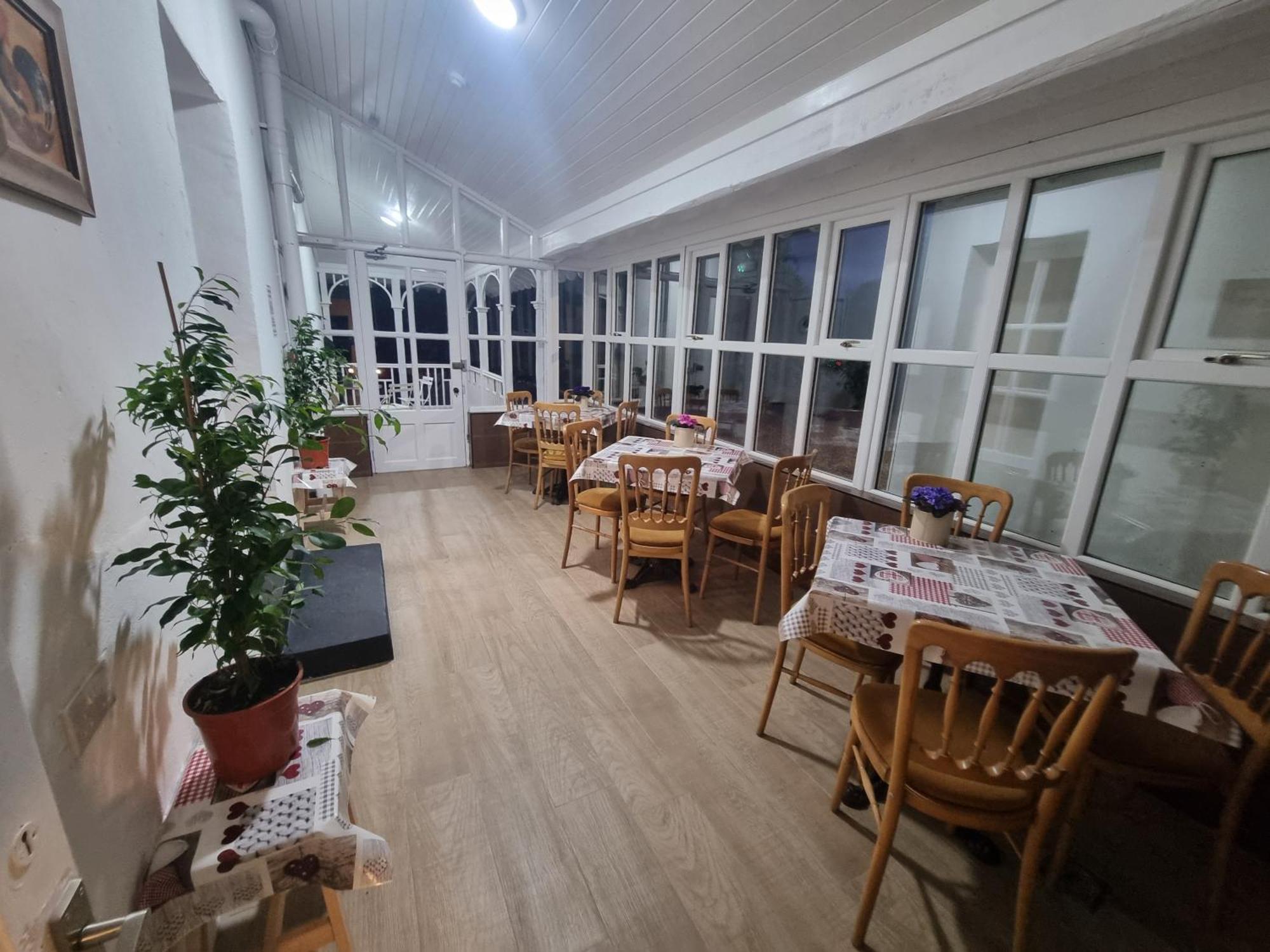 班克洛迪 The Monkey Puzzle酒店 外观 照片